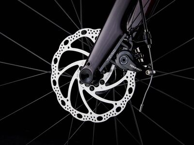 Trek Domane AL 2 Gen 4 Crimson to Dark Carmine Fade click to zoom image